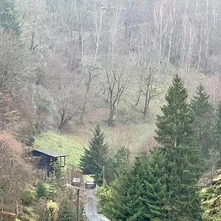 Woods-hottub & Ac La Roche-en-Ardenne