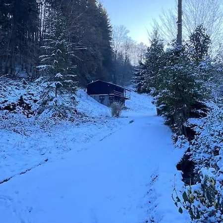 Woods-hottub & Ac בקתה