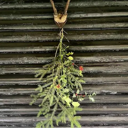 בקתה Woods-hottub & Ac לה רושה - אן - ארדן