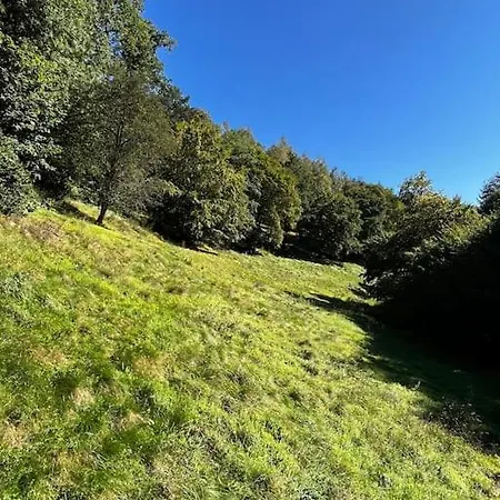 Woods-hottub & Ac Chalet La-Roche-en-Ardenne